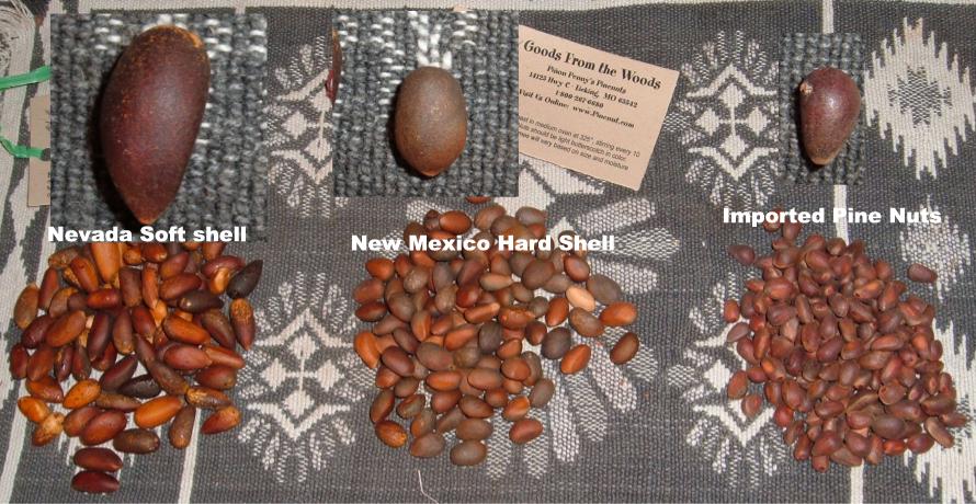 Difference between American and imported varieties of pine nuts